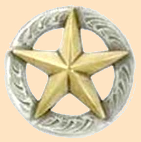 3-D Texas Star Concho