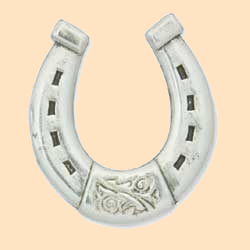 horseshoe concho