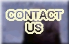 contact standing bears about beading classes