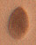 207 leather carving stamp - pear shader