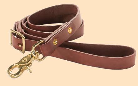 leather dog leash kit