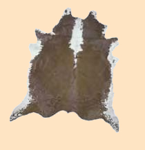 brown, white hair on cowhide, cowhide rug hair-on cow hide