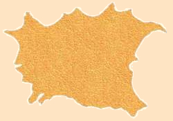 gold deerskin, deer hide, deer leather hides and skins