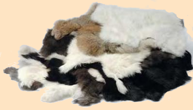 rabbit pelt, rabbit skin rabbit hides, rabbit furs